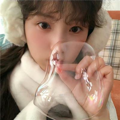 猫小姐寻真爱