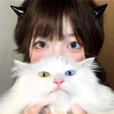 买买提的2008